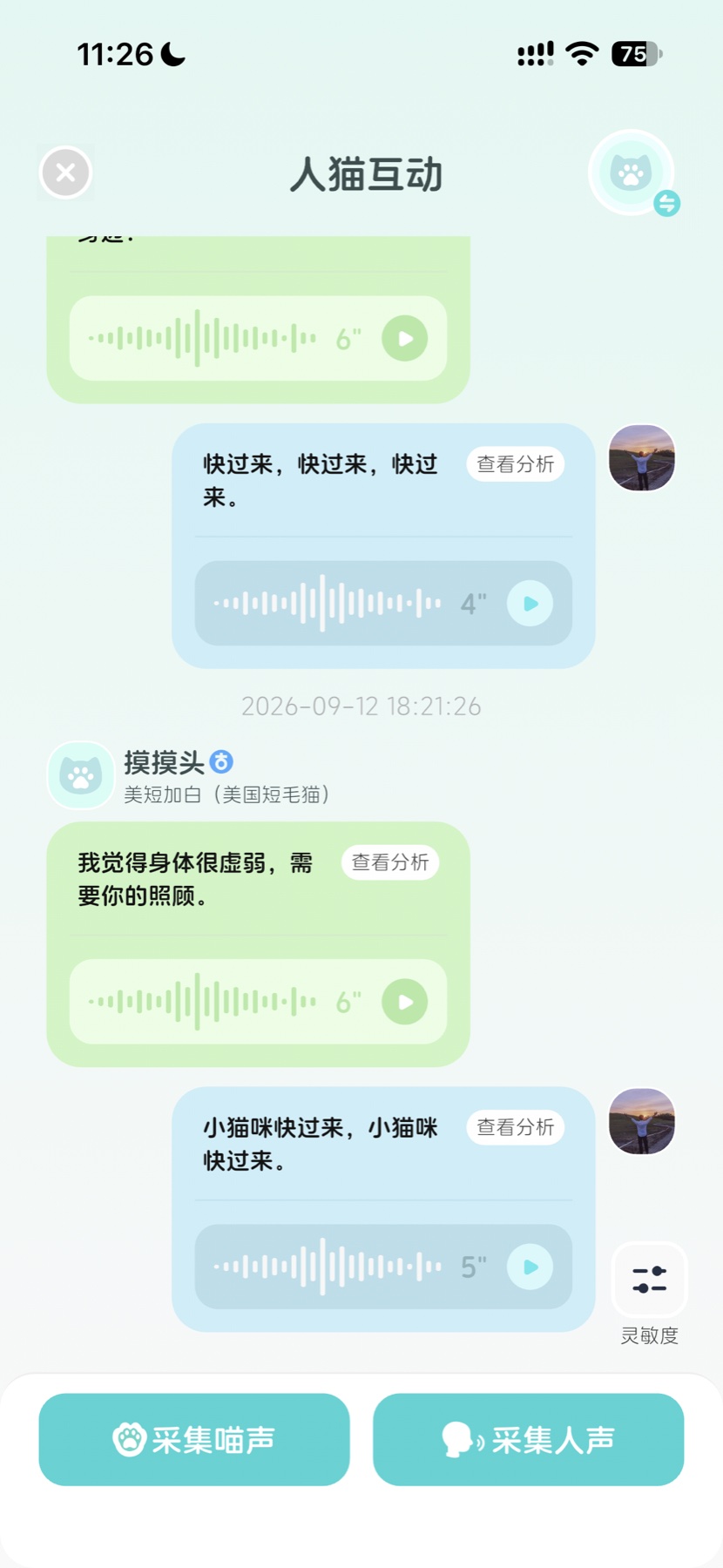 猫咪空间人猫互动界面